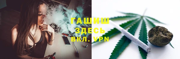 стафф Россошь