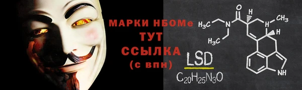 стафф Россошь