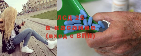 стафф Россошь