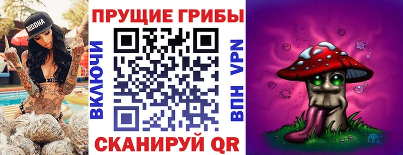 как найти закладки  Камышлов  Псилоцибиновые грибы Cubensis 