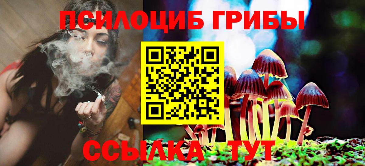 Псилоцибиновые грибы мухоморы  Вход с VPN  Камышлов  как найти закладки  Псилоцибиновые грибы ЛСД 