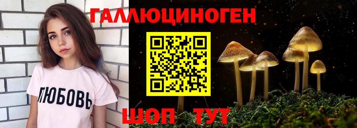 Галлюциногенные грибы Psilocybe Камышлов